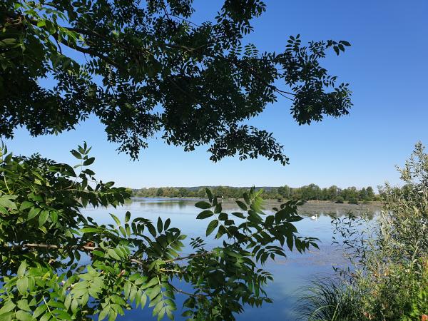 Changement de saison : Printemps au lac